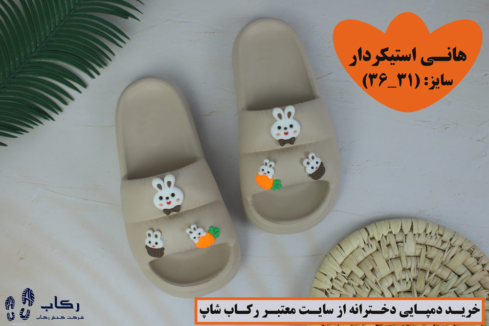 خرید دمپایی فانتزی