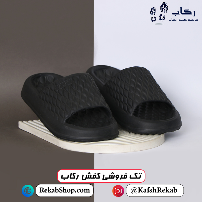 قیمت دمپایی پلاستیکی زنانه مدل آریا پلاس